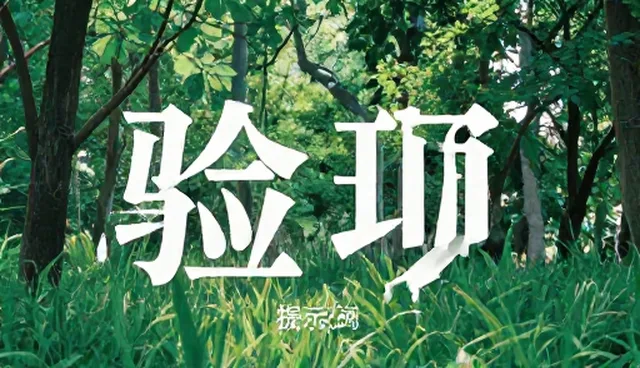 提示词应用中常见的检查要点与维护建议